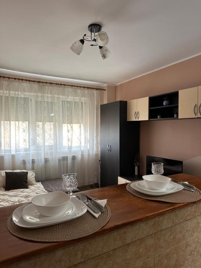 Cozy Apartament Галац Экстерьер фото